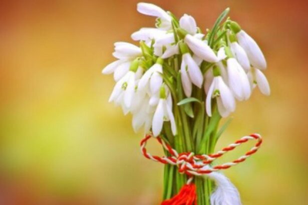 prognoza meteo pe doua saptamani martisorul aduce schimbari mari de temperatura cand se incalzeste vremea 69931f379de76