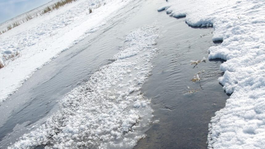 risc de inundatii pana vineri noapte pe fondul topirii zapezii a fost emis un cod portocaliu pe raurile din sudul tarii 69a02403a5f2e