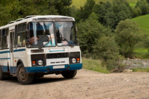 socul unei pensionare si a investit toate economiile intr o casa iar acum afla ca un autobuz ii va trece prin gradina 699ca380e666a