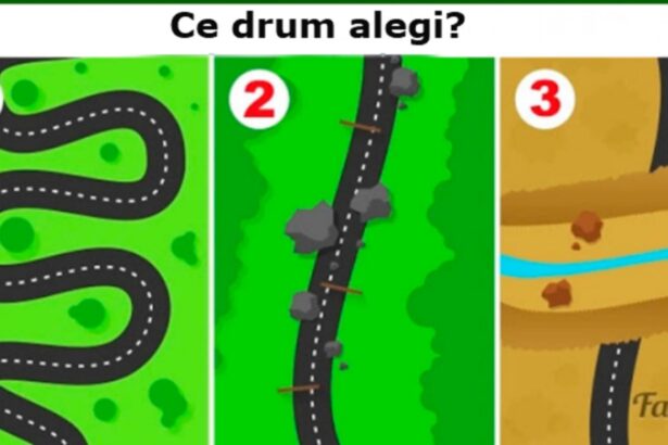 test psihologic alege un drum si afla ce spune despre tine 69831049ce4d2