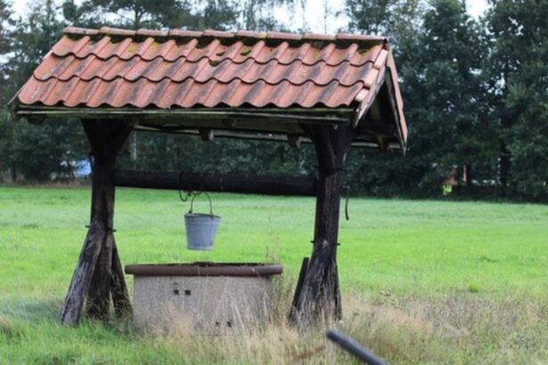 tragedie in teleorman o batrana de 80 de ani gasita fara viata dupa ce a cazut intr o fantana 69899ae83b992