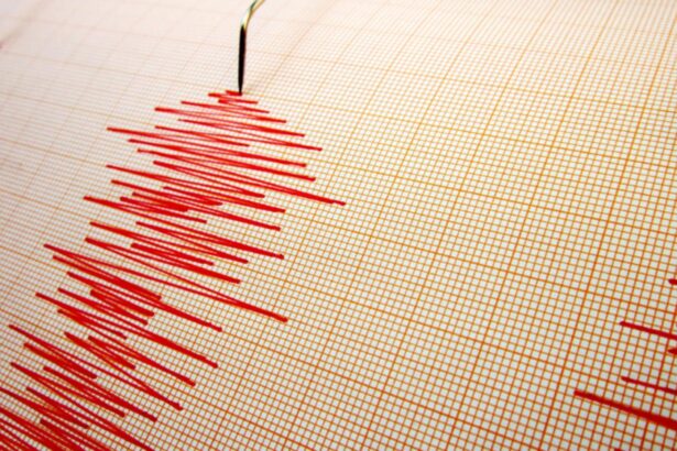 un nou cutremur in romania la scurt timp dupa seismul de intensiate medie din vrancea 69a0a39a26ac8