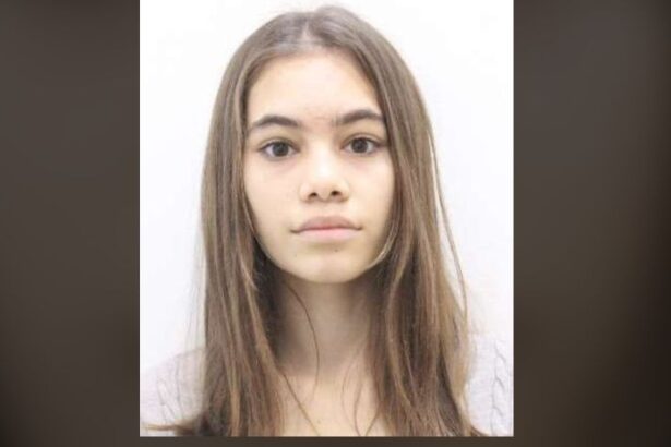 adolescenta din gradinile data disparuta de mama sa 69ba50ad65b97