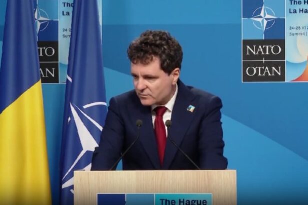 alba neagra cu terenul din predeal al lui nicusor dan diferente de suprafata si categorii de teren sesizare ani 69a91d178d203