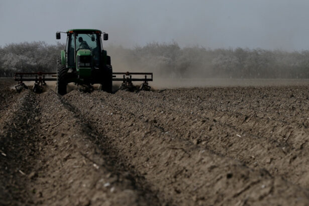 motorina mai ieftina pentru fermieri ministrul agriculturii ar putea costa intre 4 si 45 lei pe litru 69b1e235b1acd
