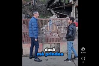 primarul de mezzo l a ascultat pe prefectul albota si a achizitionat expertiza pentru dealul gradiste 69bb94b2422d3