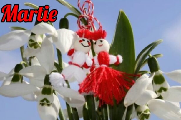 primavara frumoasa tuturor 69a89a1d6f3e8