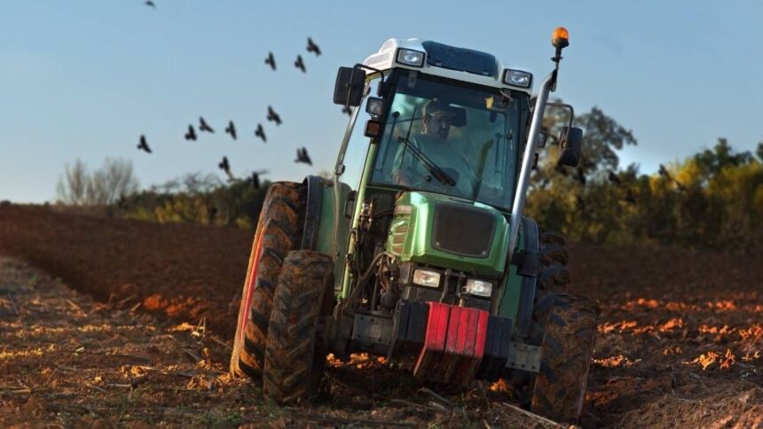 psd cere deblocarea urgenta a scutirii de taxe pe motorina agricola alimentele se vor scumpi 69b94c67b22a2