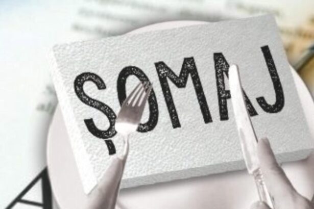 somajul scade in europa dar nu si pentru tinerii romani de ce raman blocati in afara pietei muncii 69a83018e924b