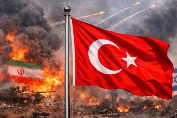 turcia respinge zvonurile privind atacul asupra unei baze americane de pe teritoriul sau o clara tentativa de dezinformare 69a5d5c84c9e1