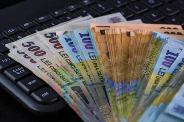 vicepresedinta bancii mondiale avertisment pentru bolojan romania are 80 putere de cumparare desi are printre cele mai mici salarii din ue 69a7e9f1966a8