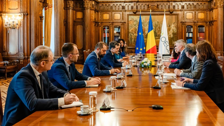 video secretarul general ocde a fost primit la palatul cotroceni mesajul lui nicusor dan 69b7ef65e2480