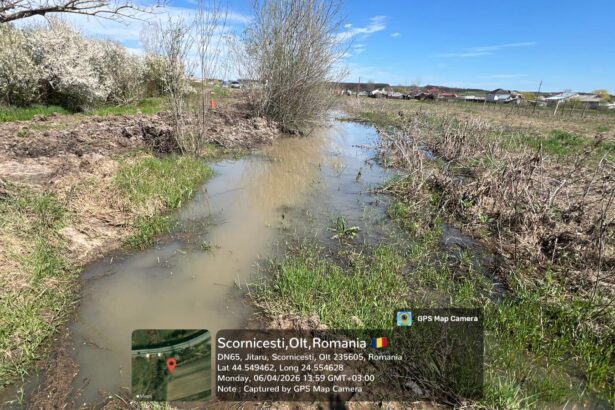 60 000 lei amenda pentru o societate din scornicesti ce deversa mizerie intr un parau 69e79bca91dd8