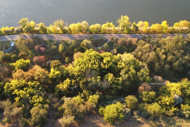 dinolt 1775900737117