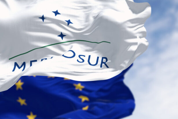 parlamentul european saluta aplicarea acordului ue mercosur de ce va fi doar provizoriu incepand cu 1 mai 69f3303718d7d