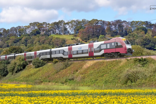 video ministrul transporturilor despre trenurile pesa nu accept sa se decoloreze in triajul garii obor caut metode sa le dam drumul 69f0e3e8d51cf