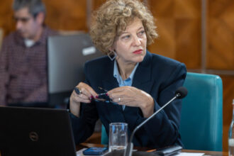 video psd acuza guvernul ca vrea sa vanda ce mai avem prin casa vicepremierul oana gheorghiu listarea la bursa aduce bani 69e1e29935c44