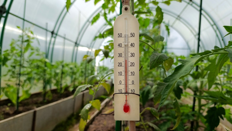 video rasadurile in pericol din cauza diferentelor mari de temperatura de la zi la noapte cum incearca legumicultorii sa salveze productia 69e07bcf5b554