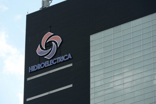 actionarii hidroelectrica vor suspendarea contractului presedintelui consiliului de supraveghere silviu avram e inculpat pentru mita 69fdd60bdc3c4