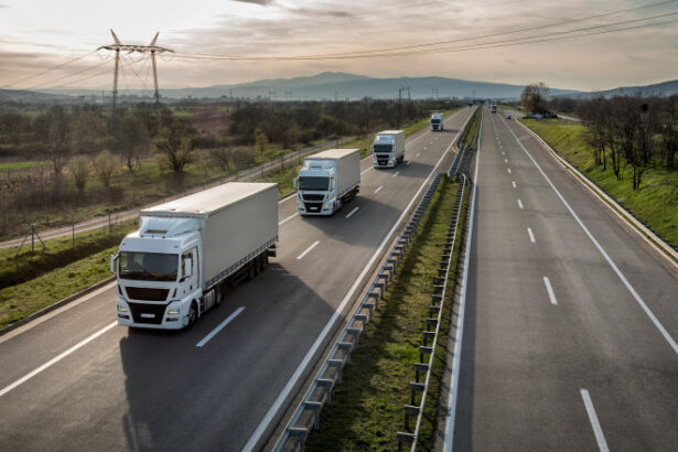 am intrat in camera ilegalitatilor radu miruta spune ca a descoperit mii de camioane care transporta mai multa marfa decat in acte 69f8e1fa21289