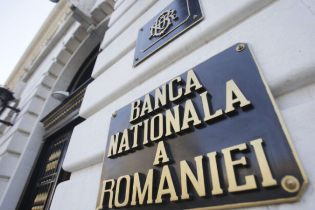 e momentul ca bnr sa intervina avertismentul unui economist dupa deprecierea istorica a leului 69fa0df14d79b