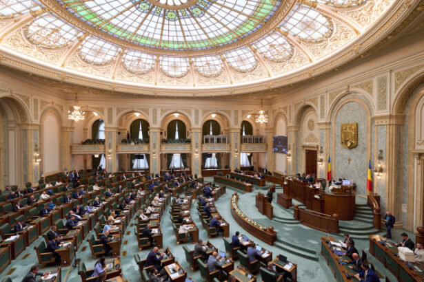 proiectul care interzice vanzarea activelor statului pana in 2027 a fost adoptat de senat 69f8c5e660588