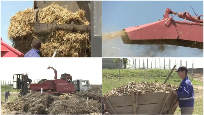 video comuna care transforma resturile vegetale din gospodarii in ingrasamant natural localnicii fac rand la utilajul cumparat de primarie 69f9a2249f48a